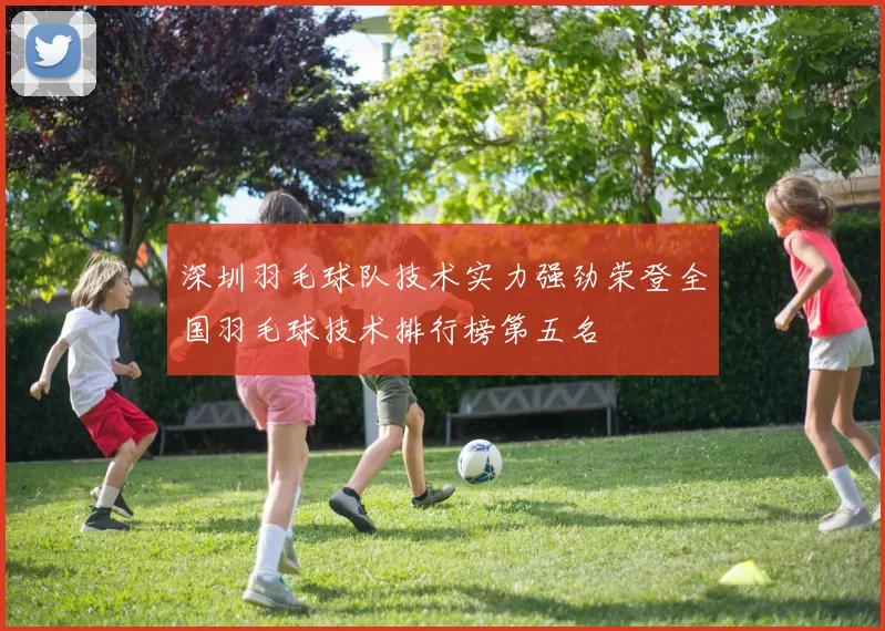 深圳羽毛球队技术实力强劲荣登全国羽毛球技术排行榜第五名