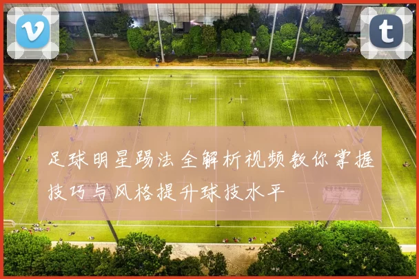 足球明星踢法全解析视频教你掌握技巧与风格提升球技水平