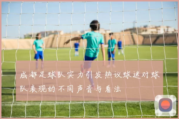 成都足球队实力引发热议球迷对球队表现的不同声音与看法