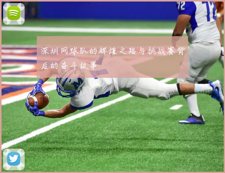 深圳网球队的辉煌之路与挑战赛背后的奋斗故事