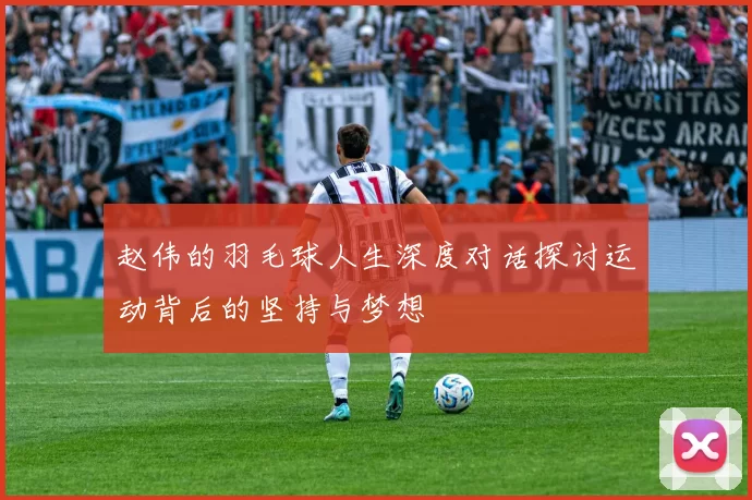 赵伟的羽毛球人生深度对话探讨运动背后的坚持与梦想