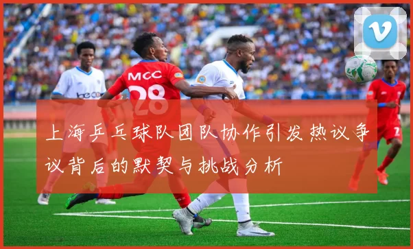 上海乒乓球队团队协作引发热议争议背后的默契与挑战分析