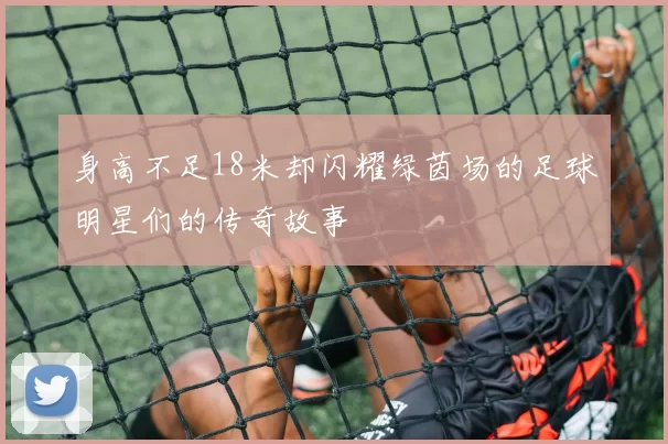 身高不足18米却闪耀绿茵场的足球明星们的传奇故事