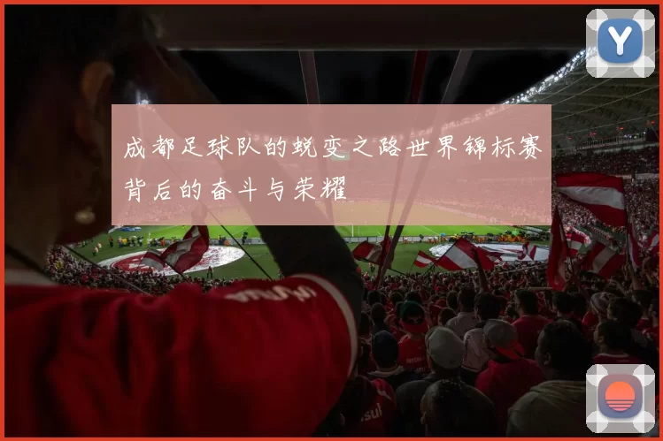 成都足球队的蜕变之路世界锦标赛背后的奋斗与荣耀