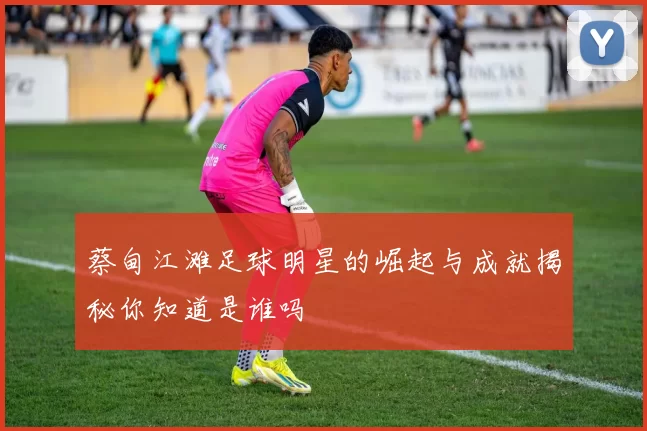 蔡甸江滩足球明星的崛起与成就揭秘你知道是谁吗