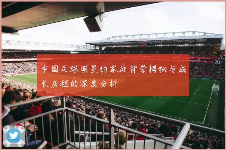 中国足球明星的家庭背景揭秘与成长历程的深度分析