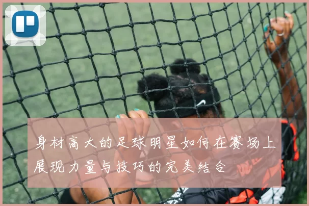 身材高大的足球明星如何在赛场上展现力量与技巧的完美结合