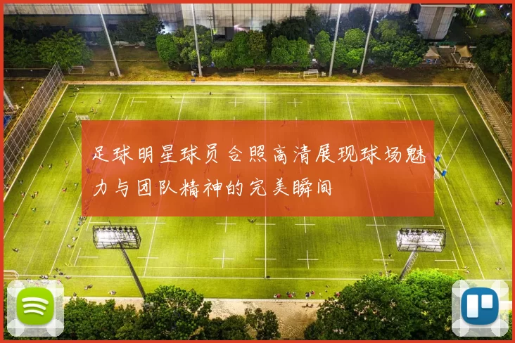 足球明星球员合照高清展现球场魅力与团队精神的完美瞬间