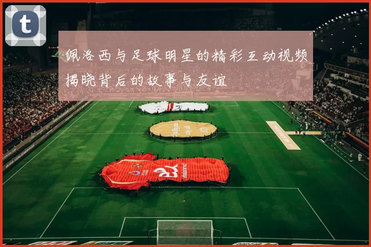 佩洛西与足球明星的精彩互动视频揭晓背后的故事与友谊