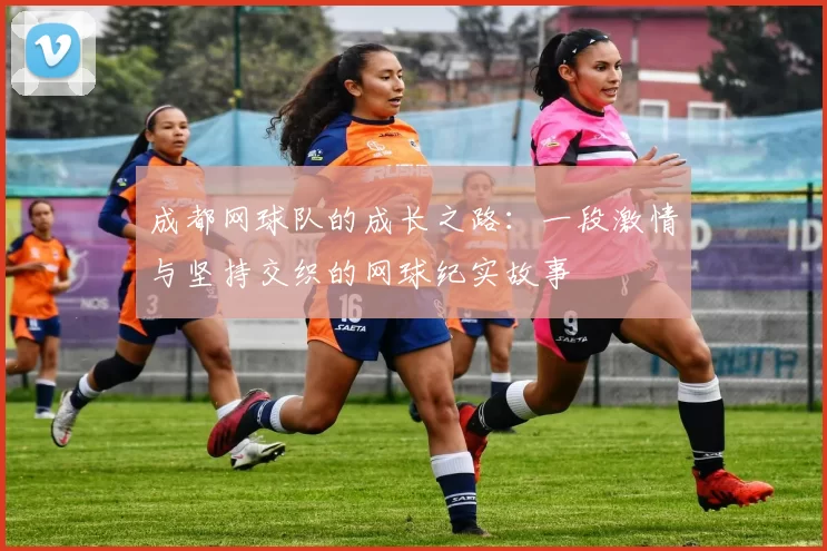 成都网球队的成长之路：一段激情与坚持交织的网球纪实故事