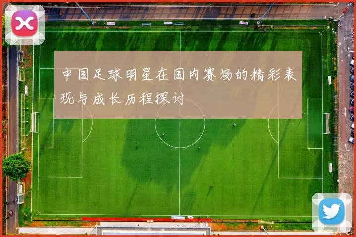 中国足球明星在国内赛场的精彩表现与成长历程探讨